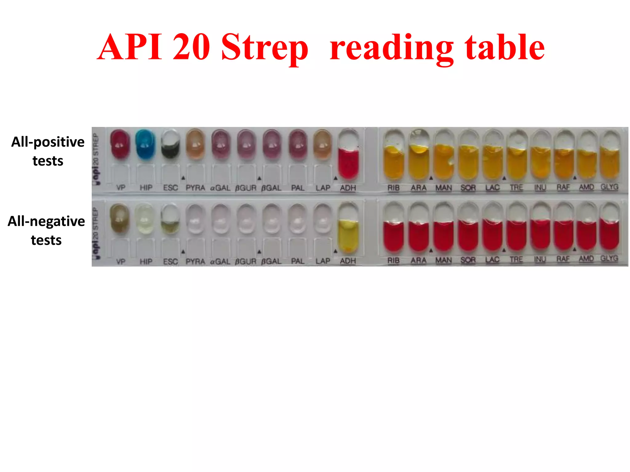 API 20 Strep reading table 
All-positive tests 
All-negative tests  