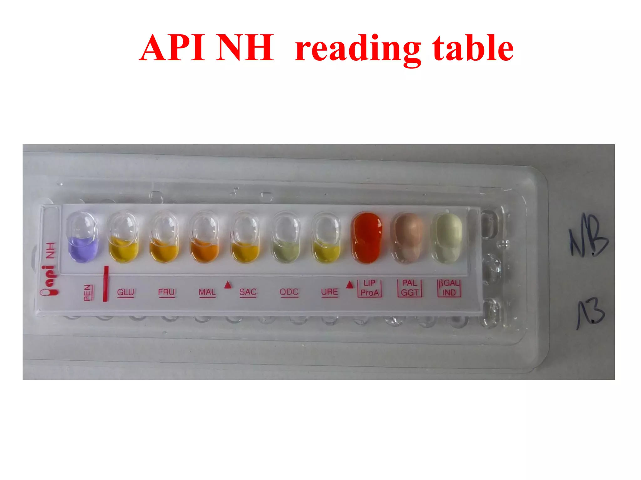 API NH reading table  