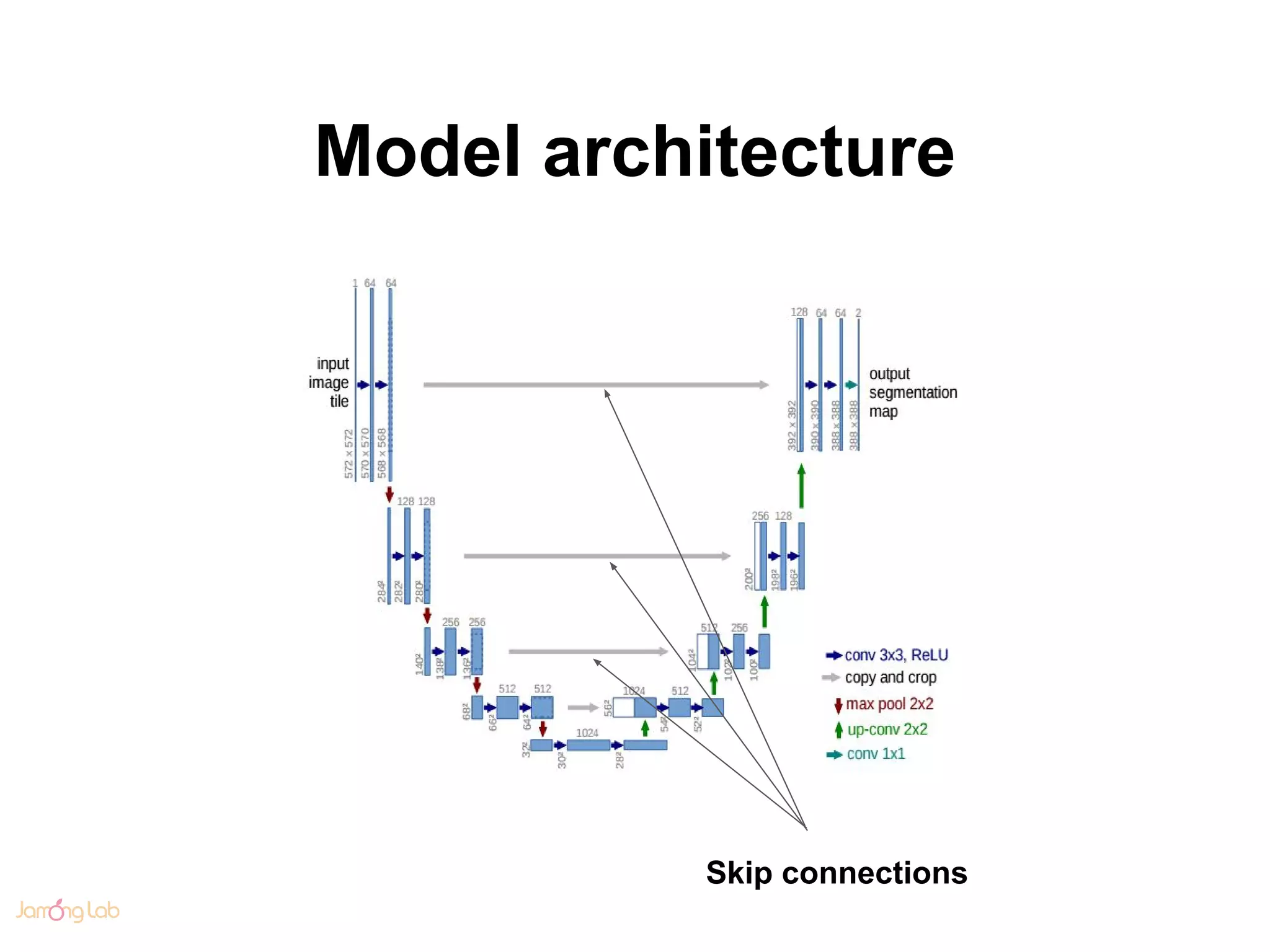 Model architecture
Skip connections
 