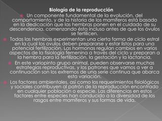 Biología de la reproducción
        Un componente fundamental de la evolución, del
   comportamiento, y de la historia de los mamíferos está basado
   en la dedicación que las hembras ponen en el cuidado de su
  descendencia, comenzando ésta incluso antes de que los òvulos
                               se fertilicen.
 Todas las hembras experimentan una cierta forma de ciclo estral
    en la cual los ovulos deben prepararse y estar listos para una
   potencial fertilización. Las hormonas regulan cambios en varios
  aspectos de la fisiología femenina a través del ciclo y preparan a
      la hembra para la fertilización, la gestación y la lactancia.
  En este variopinto grupo animal, pueden observarse muchas
     estrategias reproductivas, y los patrones que vamos a ver a
  continuación son los extremos de una serie continua que abarca
                              esta variación.
 Los factores ambientales, así como los requerimientos fisiológicos
  y sociales contribuyen al patrón de la reproducción encontrado
      en cualquier población o especie. Las diferencias en estos
    factores entre especies han conducido a la diversidad de los
             rasgos entre mamíferos y sus formas de vida.
 