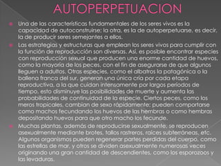  Una de las características fundamentales de los seres vivos es la
  capacidad de autoconstruirse; la otra, es la de autoperpetuarse, es decir,
  la de producir seres semejantes a ellos.
 Las estrategias y estructuras que emplean los seres vivos para cumplir con
  la función de reproducción son diversas. Así, es posible encontrar especies
  con reproducción sexual que producen una enorme cantidad de huevos,
  como la mayoría de los peces, con el fin de asegurarse de que algunos
  lleguen a adultos. Otras especies, como el albatros la patagónica o la
  ballena franca del sur, generan una única cría por cada etapa
  reproductiva, a la que cuidan intensamente por largos períodos de
  tiempo, esto disminuye las posibilidades de muerte y aumenta las
  probabilidades de continuidad de la especie. Ciertos peces, como los
  meros tropicales, cambian de sexo rápidamente; pueden comportarse
  como machos fecundando los huevos de las hembras o como hembras
  depositando huevos para que otro macho los fecunde.
 Muchas plantas, además de reproducirse sexualmente, se reproducen
  asexualmente mediante brotes, tallos rastreros, raíces subterráneas, etc.
  Algunos organismos pueden regenerar partes perdidas del cuerpo, como
  las estrellas de mar, y otros se dividen asexualmente numerosas veces
  originando una gran cantidad de descendientes, como los esporozoos y
  las levaduras.
 