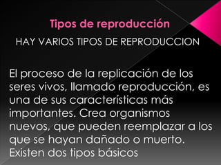 HAY VARIOS TIPOS DE REPRODUCCION


El proceso de la replicación de los
seres vivos, llamado reproducción, es
una de sus características más
importantes. Crea organismos
nuevos, que pueden reemplazar a los
que se hayan dañado o muerto.
Existen dos tipos básicos
 