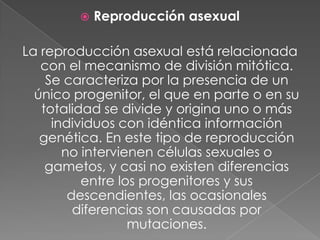    Reproducción asexual

La reproducción asexual está relacionada
   con el mecanismo de división mitótica.
    Se caracteriza por la presencia de un
  único progenitor, el que en parte o en su
   totalidad se divide y origina uno o más
     individuos con idéntica información
   genética. En este tipo de reproducción
       no intervienen células sexuales o
    gametos, y casi no existen diferencias
          entre los progenitores y sus
        descendientes, las ocasionales
         diferencias son causadas por
                  mutaciones.
 