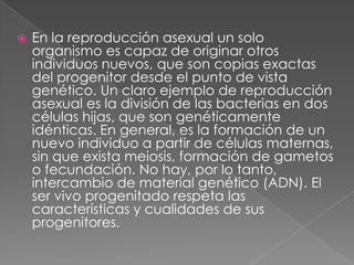    En la reproducción asexual un solo
    organismo es capaz de originar otros
    individuos nuevos, que son copias exactas
    del progenitor desde el punto de vista
    genético. Un claro ejemplo de reproducción
    asexual es la división de las bacterias en dos
    células hijas, que son genéticamente
    idénticas. En general, es la formación de un
    nuevo individuo a partir de células maternas,
    sin que exista meiosis, formación de gametos
    o fecundación. No hay, por lo tanto,
    intercambio de material genético (ADN). El
    ser vivo progenitado respeta las
    características y cualidades de sus
    progenitores.
 