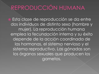 Esta clase de reproducción se da entre
dos individuos de distinto sexo (hombre y
     mujer). La reproducción humana
emplea la fecundación interna y su éxito
 depende de la acción coordinada de
  las hormonas, el sistema nervioso y el
 sistema reproductivo. Las gónadas son
 los órganos sexuales que producen los
                  gametos.
 