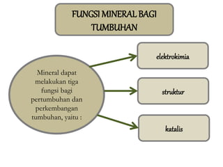 FUNGSI MINERAL BAGI
TUMBUHAN
Mineral dapat
melakukan tiga
fungsi bagi
pertumbuhan dan
perkembangan
tumbuhan, yaitu :
elektrokimia
struktur
katalis
 