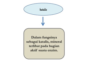 katalis
Dalam fungsinya
sebagai katalis, mineral
terlibat pada bagian
aktif suatu enzim.
 