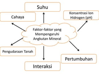 Faktor-faktor yang
Mempengaruhi
Angkutan Mineral
Suhu
Cahaya
Konsentrasi Ion
Hidrogen (pH)
Interaksi
Pengudaraan Tanah
Pertumbuhan
 