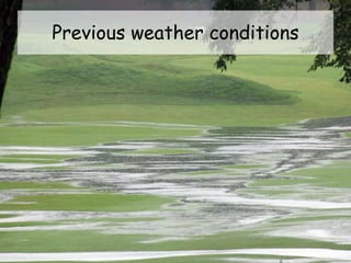 Previous weather conditions
 