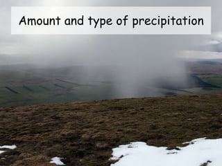 Amount and type of precipitation
 