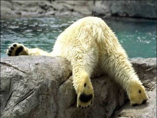 A place called_earth