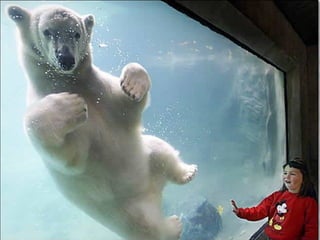 A place called_earth