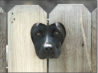 A place called_earth