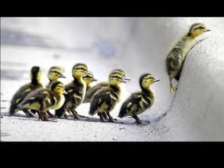 A place called_earth