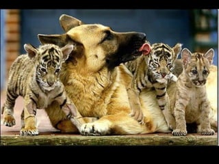 A place called_earth