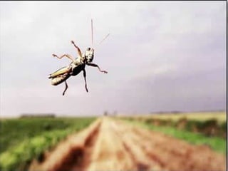 A place called_earth