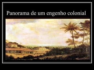 Panorama de um engenho colonial 