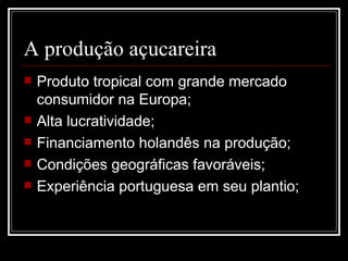 A produção açucareira Produto tropical com grande mercado consumidor na Europa; Alta lucratividade; Financiamento holandês na produção; Condições geográficas favoráveis; Experiência portuguesa em seu plantio; 