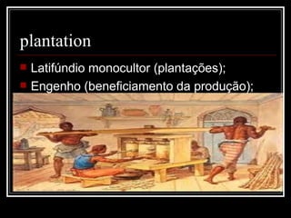 plantation Latifúndio monocultor (plantações); Engenho (beneficiamento da produção); 