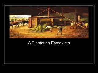 A Plantation Escravista A Plantation Escravista 