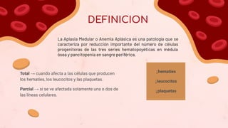 Aplasia de la médula ósea hematología .pdf