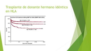 Trasplante de donante hermano idéntico
en HLA
 