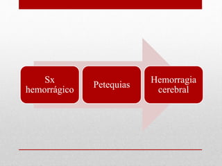Sx 
hemorrágico 
Petequias 
Hemorragia 
cerebral 
 