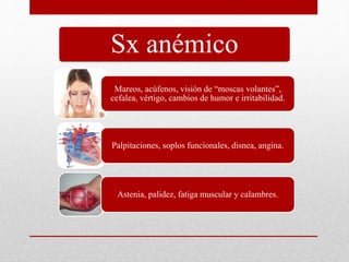 Sx anémico 
Mareos, acúfenos, visión de “moscas volantes”, 
cefalea, vértigo, cambios de humor e irritabilidad. 
Palpitaciones, soplos funcionales, disnea, angina. 
Astenia, palidez, fatiga muscular y calambres. 
 