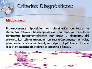 Criterios Diagnósticos:Criterios Diagnósticos:
Médula ósea:
Profundamente hipocelular, con disminución de todos los
elementos celulares hematopoyéticos, con espacios medulares
compuesto fundamentalmente por grasa y elementos del
estroma. Las células residuales son morfológicamente normales,
pero pueden estar presentes algunos signos displásicos en la serie
roja. Hay ausencia de infiltración maligna o fibrosis.
 