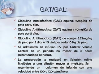 GAT/GAL:GAT/GAL:
 Globulina Antilinfocítica (GAL) equina: 15mg/Kg deGlobulina Antilinfocítica (GAL) equina: 15mg/Kg de
peso por 5 días.peso por 5 días.
 Globulina Antitimocítica (GAT) equina : 40mg/Kg deGlobulina Antitimocítica (GAT) equina : 40mg/Kg de
peso por 5 días.peso por 5 días.
 Globulina Antitimocítica (GAT) de conejo: 3.75mg/KgGlobulina Antitimocítica (GAT) de conejo: 3.75mg/Kg
de peso por 5 días ó 1.5 vial por cada 10 Kg de peso.de peso por 5 días ó 1.5 vial por cada 10 Kg de peso.
 Se administra en infusión EV por Catéter VenosoSe administra en infusión EV por Catéter Venoso
Central en un periodo no menor de 6 horasCentral en un periodo no menor de 6 horas
(recomendado 10 horas).(recomendado 10 horas).
 La preparación se realizará en Solución salinaLa preparación se realizará en Solución salina
fisiológica a una dilución mayor a 1mg/1.2cc. Sefisiológica a una dilución mayor a 1mg/1.2cc. Se
recomienda un volumen de infusión con unarecomienda un volumen de infusión con una
velocidad entre 100 a 120 cc/mvelocidad entre 100 a 120 cc/m22
/hora./hora.
 