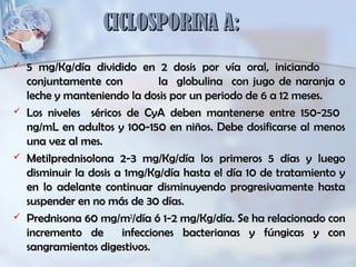 CICLOSPORINA A:CICLOSPORINA A:
 5 mg/Kg/día dividido en 2 dosis por vía oral, iniciando5 mg/Kg/día dividido en 2 dosis por vía oral, iniciando
conjuntamente con la globulina con jugo de naranja oconjuntamente con la globulina con jugo de naranja o
leche y manteniendo la dosis por un periodo de 6 a 12 meses.leche y manteniendo la dosis por un periodo de 6 a 12 meses.
 Los niveles séricos de CyA deben mantenerse entre 150-250Los niveles séricos de CyA deben mantenerse entre 150-250
ng/mL en adultos y 100-150 en niños. Debe dosificarse al menosng/mL en adultos y 100-150 en niños. Debe dosificarse al menos
una vez al mes.una vez al mes.
 Metilprednisolona 2-3 mg/Kg/día los primeros 5 días y luegoMetilprednisolona 2-3 mg/Kg/día los primeros 5 días y luego
disminuir la dosis a 1mg/Kg/día hasta el día 10 de tratamiento ydisminuir la dosis a 1mg/Kg/día hasta el día 10 de tratamiento y
en lo adelante continuar disminuyendo progresivamente hastaen lo adelante continuar disminuyendo progresivamente hasta
suspender en no más de 30 días.suspender en no más de 30 días.
 Prednisona 60 mg/mPrednisona 60 mg/m22
/día ó 1-2 mg/Kg/día. Se ha relacionado con/día ó 1-2 mg/Kg/día. Se ha relacionado con
incremento de infecciones bacterianas y fúngicas y conincremento de infecciones bacterianas y fúngicas y con
sangramientos digestivos.sangramientos digestivos.
 