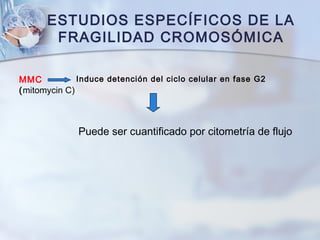ESTUDIOS ESPECÍFICOS DE LA
FRAGILIDAD CROMOSÓMICA
MMC
(mitomycin C)
Induce detención del ciclo celular en fase G2
Puede ser cuantificado por citometría de flujo
 