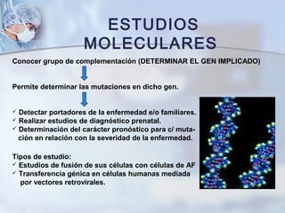 ESTUDIOS
MOLECULARES
Conocer grupo de complementación (DETERMINAR EL GEN IMPLICADO)
Permite determinar las mutaciones en dicho gen.
 Detectar portadores de la enfermedad e/o familiares.
 Realizar estudios de diagnóstico prenatal.
 Determinación del carácter pronóstico para c/ muta-
ción en relación con la severidad de la enfermedad.
Tipos de estudio:
 Estudios de fusión de sus células con células de AF
 Transferencia génica en células humanas mediada
por vectores retrovirales.
 