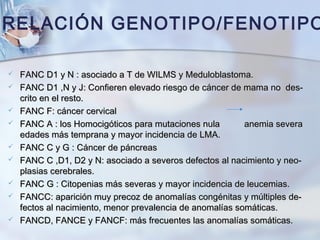 FANC D1 y N : asociado a T de WILMS y Meduloblastoma.FANC D1 y N : asociado a T de WILMS y Meduloblastoma.
 FANC D1 ,N y J: Confieren elevado riesgo de cáncer de mama no des-FANC D1 ,N y J: Confieren elevado riesgo de cáncer de mama no des-
crito en el resto.crito en el resto.
 FANC F: cáncer cervicalFANC F: cáncer cervical
 FANC A : los Homocigóticos para mutaciones nulaFANC A : los Homocigóticos para mutaciones nula anemia severaanemia severa
edades más temprana y mayor incidencia de LMA.edades más temprana y mayor incidencia de LMA.
 FANC C y G : Cáncer de páncreasFANC C y G : Cáncer de páncreas
 FANC C ,D1, D2 y N: asociado a severos defectos al nacimiento y neo-FANC C ,D1, D2 y N: asociado a severos defectos al nacimiento y neo-
plasias cerebrales.plasias cerebrales.
 FANC G : Citopenias más severas y mayor incidencia de leucemias.FANC G : Citopenias más severas y mayor incidencia de leucemias.
 FANCC: aparición muy precoz de anomalías congénitas y múltiples de-FANCC: aparición muy precoz de anomalías congénitas y múltiples de-
fectos al nacimiento, menor prevalencia de anomalías somáticas.fectos al nacimiento, menor prevalencia de anomalías somáticas.
 FANCD, FANCE y FANCF: más frecuentes las anomalías somáticas.FANCD, FANCE y FANCF: más frecuentes las anomalías somáticas.
RELACIÓN GENOTIPO/FENOTIPO
 