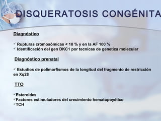DISQUERATOSIS CONGÉNITA
Diagnóstico
 Rupturas cromosómicas < 10 % y en la AF 100 %
 Identificación del gen DKC1 por tecnicas de genetica molecular
Diagnóstico prenatal
 Estudios de polimorfismos de la longitud del fragmento de restricción
en Xq28
TTO
Esteroides
Factores estimuladores del crecimiento hematopoyético
TCH
 