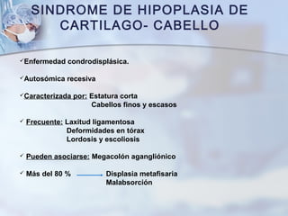 SINDROME DE HIPOPLASIA DE
CARTILAGO- CABELLO
Enfermedad condrodisplásica.
Autosómica recesiva
Caracterizada por: Estatura corta
Cabellos finos y escasos
 Frecuente: Laxitud ligamentosa
Deformidades en tórax
Lordosis y escoliosis
 Pueden asociarse: Megacolón agangliónico
 Más del 80 % Displasia metafisaria
Malabsorción
 