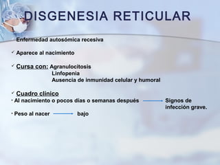 DISGENESIA RETICULAR
 Enfermedad autosómica recesiva
 Aparece al nacimiento
 Cursa con: Agranulocitosis
Linfopenia
Ausencia de inmunidad celular y humoral
 Cuadro clínico
• Al nacimiento o pocos días o semanas después Signos de
infección grave.
• Peso al nacer bajo
 