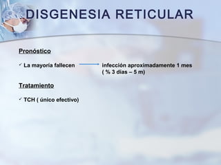DISGENESIA RETICULAR
Pronóstico
 La mayoría fallecen infección aproximadamente 1 mes
( % 3 días – 5 m)
Tratamiento
 TCH ( único efectivo)
 