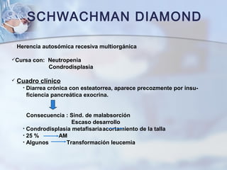 SCHWACHMAN DIAMOND
 Herencia autosómica recesiva multiorgánica
Cursa con: Neutropenia
Condrodisplasia
 Cuadro clínico
• Diarrea crónica con esteatorrea, aparece precozmente por insu-
ficiencia pancreática exocrina.
Consecuencia : Sind. de malabsorción
Escaso desarrollo
• Condrodisplasia metafisariaacortamiento de la talla
• 25 % AM
• Algunos Transformación leucemia
 