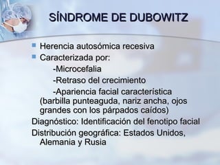 SÍNDROME DE DUBOWITZSÍNDROME DE DUBOWITZ
 Herencia autosómica recesivaHerencia autosómica recesiva
 Caracterizada por:Caracterizada por:
-Microcefalia-Microcefalia
-Retraso del crecimiento-Retraso del crecimiento
-Apariencia facial característica-Apariencia facial característica
(barbilla punteaguda, nariz ancha, ojos(barbilla punteaguda, nariz ancha, ojos
grandes con los párpados caídos)grandes con los párpados caídos)
Diagnóstico: Identificación del fenotipo facialDiagnóstico: Identificación del fenotipo facial
Distribución geográfica: Estados Unidos,Distribución geográfica: Estados Unidos,
Alemania y RusiaAlemania y Rusia
 