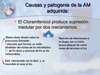 Causas y patogenia de la AMCausas y patogenia de la AM
adquirida:adquirida:
 El Cloramfenicol produce supresiónEl Cloramfenicol produce supresión
medular por dos mecanismos:medular por dos mecanismos:
Efecto tóxico directo sobre los
precursores Eritroides :
• Vacuolas que forman un anillo
alrededor del núcleo de los eritroblastos.
•↑ de Fe sérico y acúmulo de Fe en las
mitocondrias.
Está relacionado con la dosis y es
reversible al cesar el tto.
Reacción de idiosincrasia a
la droga, con un inicio
brusco después de varios
meses de terminar el tto.
 