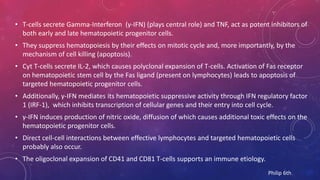 • T-cells secrete Gamma-Interferon (γ-IFN) (plays central role) and TNF, act as potent inhibitors of
both early and late hematopoietic progenitor cells.
• They suppress hematopoiesis by their effects on mitotic cycle and, more importantly, by the
mechanism of cell killing (apoptosis).
• Cyt T-cells secrete IL-2, which causes polyclonal expansion of T-cells. Activation of Fas receptor
on hematopoietic stem cell by the Fas ligand (present on lymphocytes) leads to apoptosis of
targeted hematopoietic progenitor cells.
• Additionally, γ-IFN mediates its hematopoietic suppressive activity through IFN regulatory factor
1 (IRF-1), which inhibits transcription of cellular genes and their entry into cell cycle.
• γ-IFN induces production of nitric oxide, diffusion of which causes additional toxic effects on the
hematopoietic progenitor cells.
• Direct cell-cell interactions between effective lymphocytes and targeted hematopoietic cells
probably also occur.
• The oligoclonal expansion of CD41 and CD81 T-cells supports an immune etiology.
Philip 6th
 