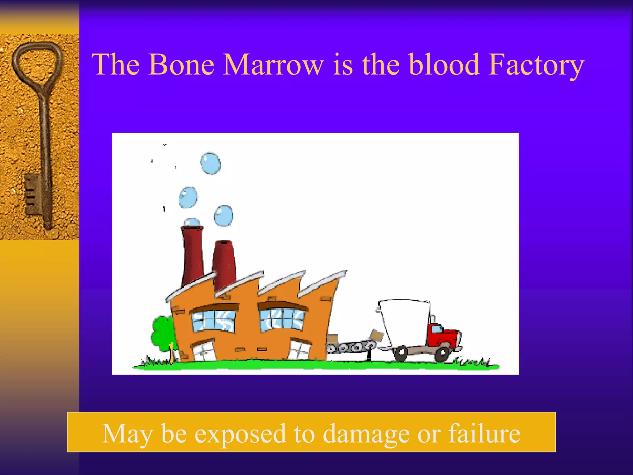 The Bone Marrow is the blood Factory
May be exposed to damage or failure
 