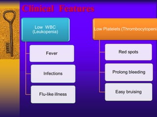 Clinical Features
 