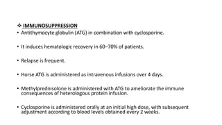  IMMUNOSUPPRESSION
• Antithymocyte globulin (ATG) in combination with cyclosporine.
• It induces hematologic recovery in 60–70% of patients.
• Relapse is frequent.
• Horse ATG is administered as intravenous infusions over 4 days.
• Methylprednisolone is administered with ATG to ameliorate the immune
consequences of heterologous protein infusion.
• Cyclosporine is administered orally at an initial high dose, with subsequent
adjustment according to blood levels obtained every 2 weeks.
 
