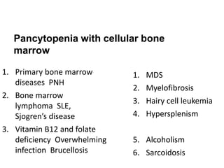 Pancytopenia with cellular bone
marrow
1. Primary bone marrow
diseases PNH
2. Bone marrow
lymphoma SLE,
Sjogren’s disease
3. Vitamin B12 and folate
deficiency Overwhelming
infection Brucellosis
1. MDS
2. Myelofibrosis
3. Hairy cell leukemia
4. Hypersplenism
5. Alcoholism
6. Sarcoidosis
 