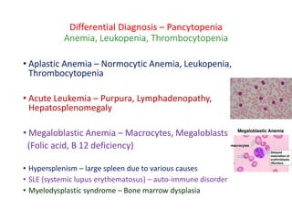 Differential Diagnosis – Pancytopenia
Anemia, Leukopenia, Thrombocytopenia
• Aplastic Anemia – Normocytic Anemia, Leukopenia,
Thrombocytopenia
• Acute Leukemia – Purpura, Lymphadenopathy,
Hepatosplenomegaly
• Megaloblastic Anemia – Macrocytes, Megaloblasts
(Folic acid, B 12 deficiency)
• Hypersplenism – large spleen due to various causes
• SLE (systemic lupus erythematosus) – auto-immune disorder
• Myelodysplastic syndrome – Bone marrow dysplasia
 