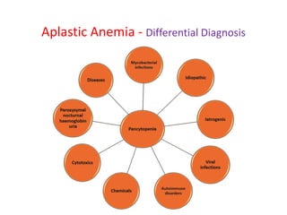 Aplastic Anemia - Differential Diagnosis
 