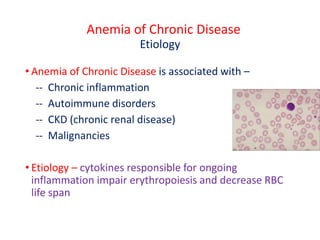 Anemia of Chronic Disease
Etiology
• Anemia of Chronic Disease is associated with –
-- Chronic inflammation
-- Autoimmune disorders
-- CKD (chronic renal disease)
-- Malignancies
• Etiology – cytokines responsible for ongoing
inflammation impair erythropoiesis and decrease RBC
life span
 