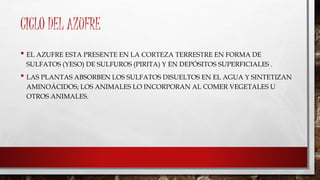 CICLO DEL AZUFRE 
• EL AZUFRE ESTA PRESENTE EN LA CORTEZA TERRESTRE EN FORMA DE 
SULFATOS (YESO) DE SULFUROS (PIRITA) Y EN DEPÓSITOS SUPERFICIALES . 
• LAS PLANTAS ABSORBEN LOS SULFATOS DISUELTOS EN EL AGUA Y SINTETIZAN 
AMINOÁCIDOS; LOS ANIMALES LO INCORPORAN AL COMER VEGETALES U 
OTROS ANIMALES. 
 